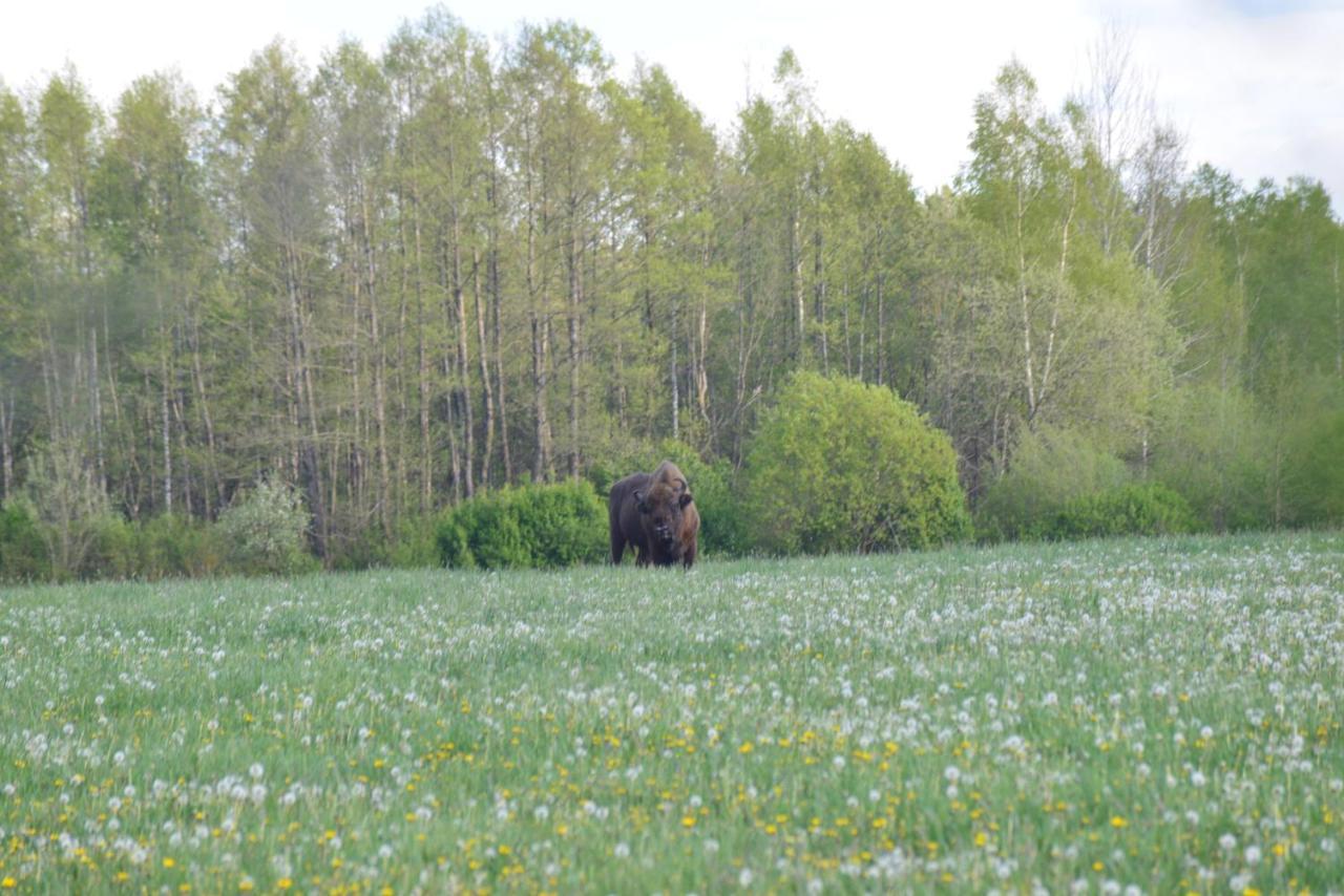 Ciche Podlasie Siemianowka Exterior foto